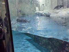 -南昌海洋公园