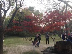 -洛阳市隋唐城遗址植物园