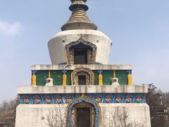 -塔尔寺