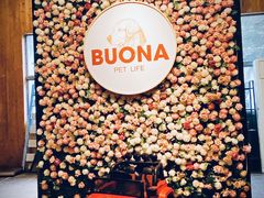 -百好乐宠物友好餐厅(朝外大街店)