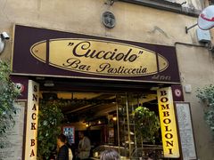 -圣母百花大教堂穹顶