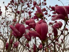 -永定河休闲森林公园