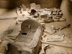 -洛阳周王城天子驾六博物馆