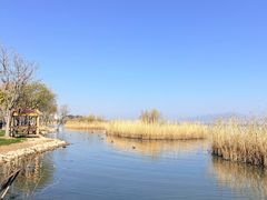 -洱海月湿地公园