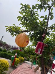 -优沃得自然教育农场·冰雪乐园·生日会·研学