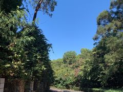 -梧桐山风景名胜区