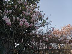 -无锡梅园公园