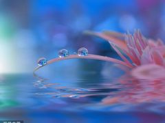 -四季暖堂·融合江浙菜(N1955创业园店)