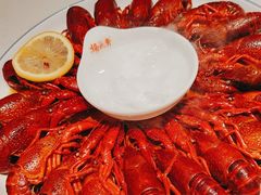 -杨氏青龙虾·羊蝎子(托乐嘉店)