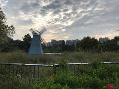 -南沙蒲洲花园