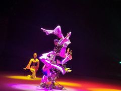 -兴芮温泉度假区