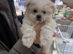 -银座商城(青岛中心店)