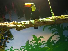 -萌宠奇缘(荣鼎店)