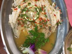 -荷花泰菜(东方新天地店)