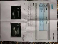 -北京观赏动物医院·24小时大型综合·猫专科·异宠专科