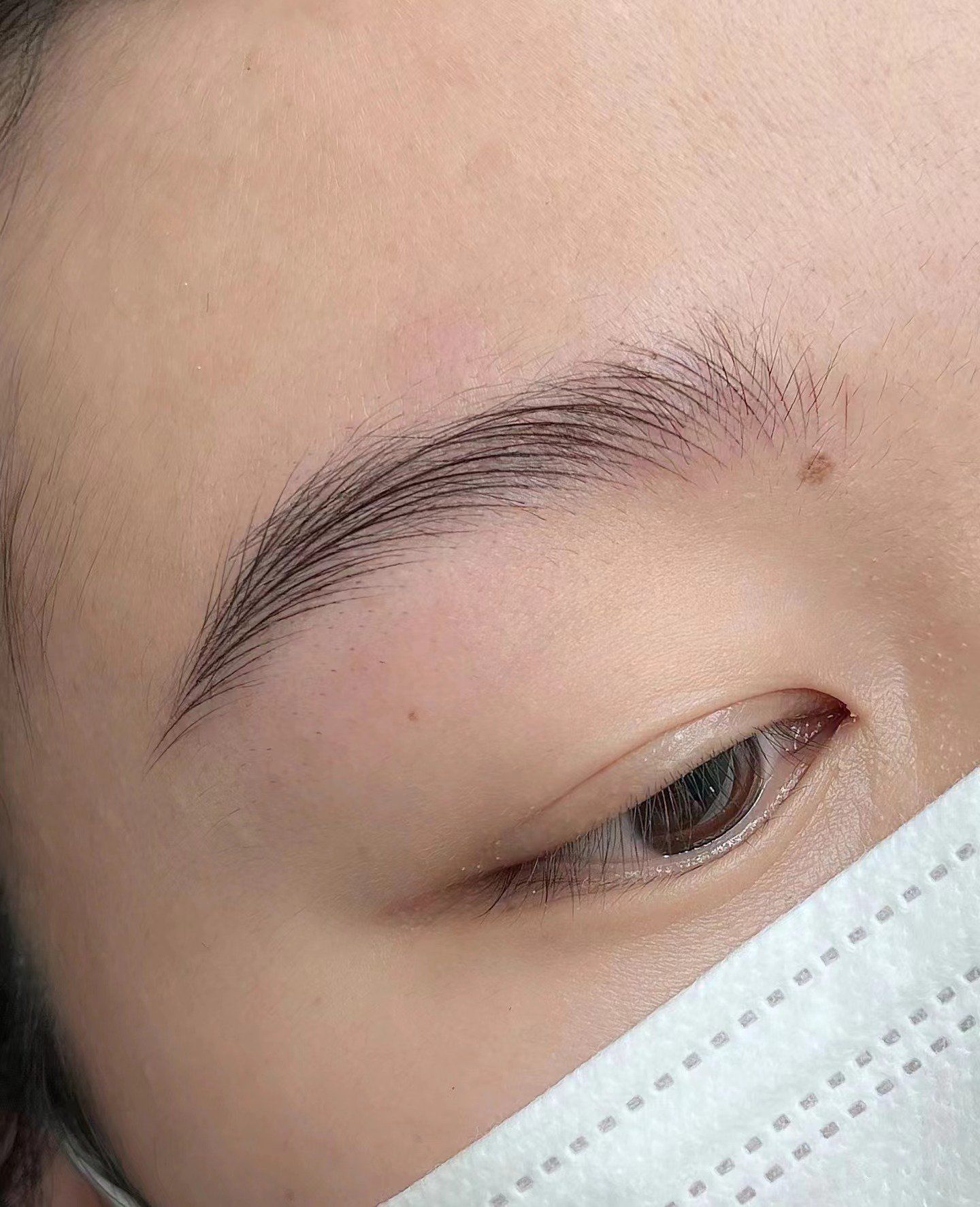 野生眉细节图,论毛流色彩深浅过渡的重要性