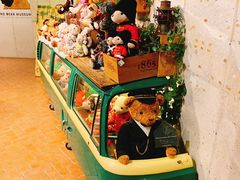 -济州岛泰迪熊博物馆