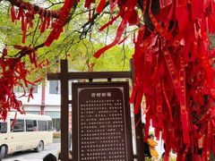 -句容茅山景区