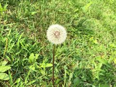 -北京宽沟会议中心