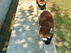 -水上乐园·欢乐世界