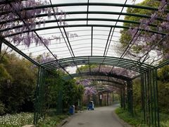 -渤公岛生态公园