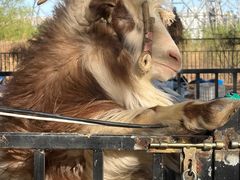 -蓝地时尚庄园(北京清河营地铁站店)