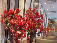 -赤坂亭·M9和牛烧肉·铁板烧·日料398放题(长泰广场店)