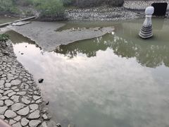 -深圳湾公园(南山区)