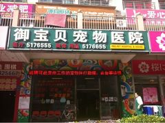 -御宝贝24h宠物医院·转诊中心·CT核磁血透中心(厦门总院)