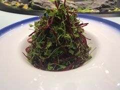 -豫丰汇河南名菜楼(武记餐饮)