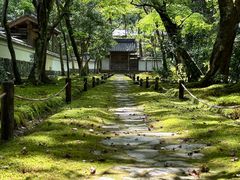 -西芳寺(苔寺)