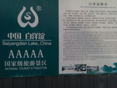 -白洋淀景区