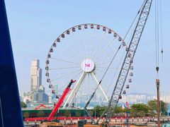 -玩具反斗城(海港城店)