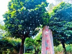 -白云山风景名胜区