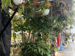-溪岸路花鸟市场