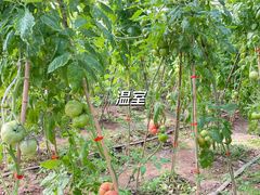 -北京益泉花园酒店