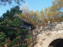-白塔山公园