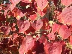 -大连罗马假日酒店温泉