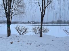 -东郊湿地公园