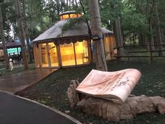 -蒙古大营(朝阳公园店)