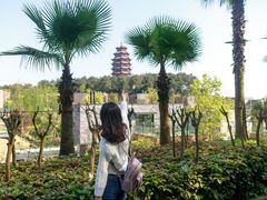 -铁山坪森林公园