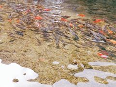 -水磨沟公园