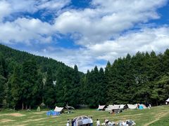 -武陵山森林公园