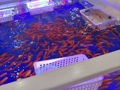 -宝贝王(惠州大亚湾店)