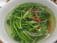 -粤顺食鸽专门店