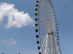 -凤岭儿童公园