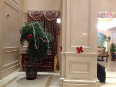 -维也纳国际酒店·上海虹桥火车站国家会展中心店