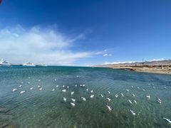 -青海湖国家重点风景名胜区