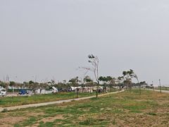 -东堤公园