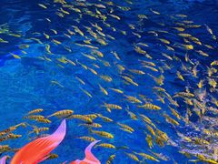 -华夏文旅西安度假区